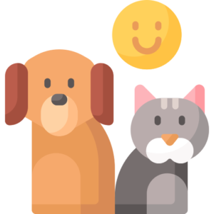Cat image